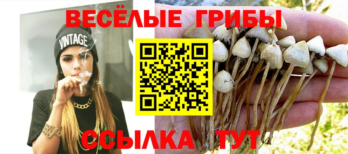 Галлюциногенные грибы GOLDEN TEACHER Алейск